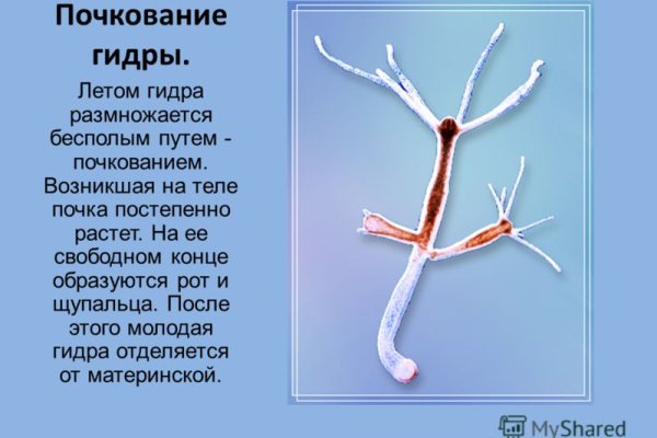 Ссылка кракен vk2 top