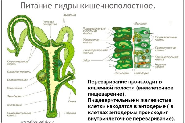 Кракен купить порошок