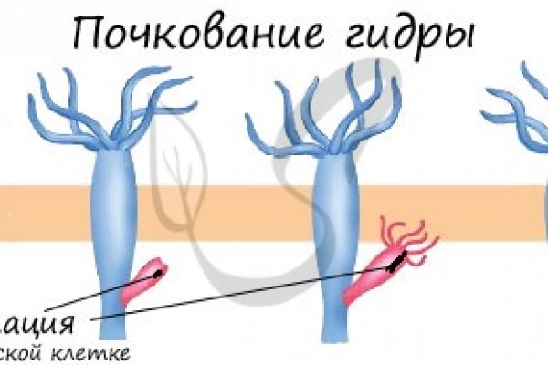 Кракен это даркнет